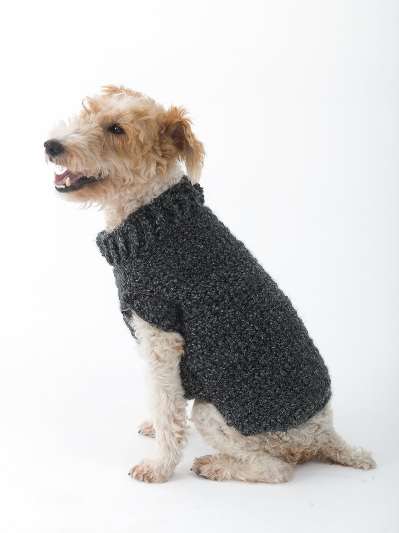 The Poet Dog Sweater (Crochet) - Version 1