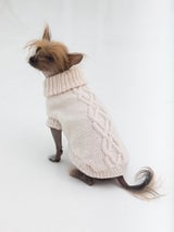 The Prep Dog Sweater (Knit) thumbnail
