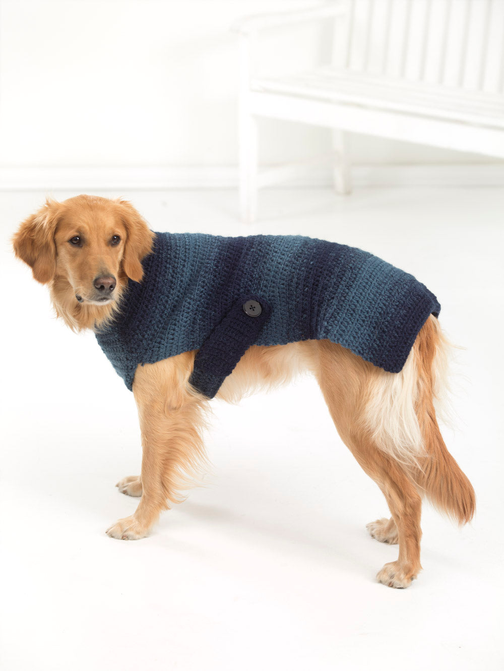 Asta Dog Sweater (Crochet) Version 2 Lion Brand Yarn