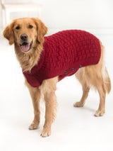 Clifford Dog Sweater (Knit) thumbnail