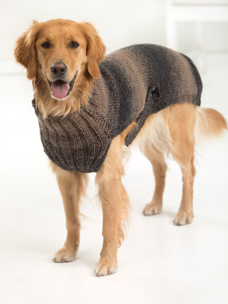 Hunter's Urban Dog Sweater (Knit)