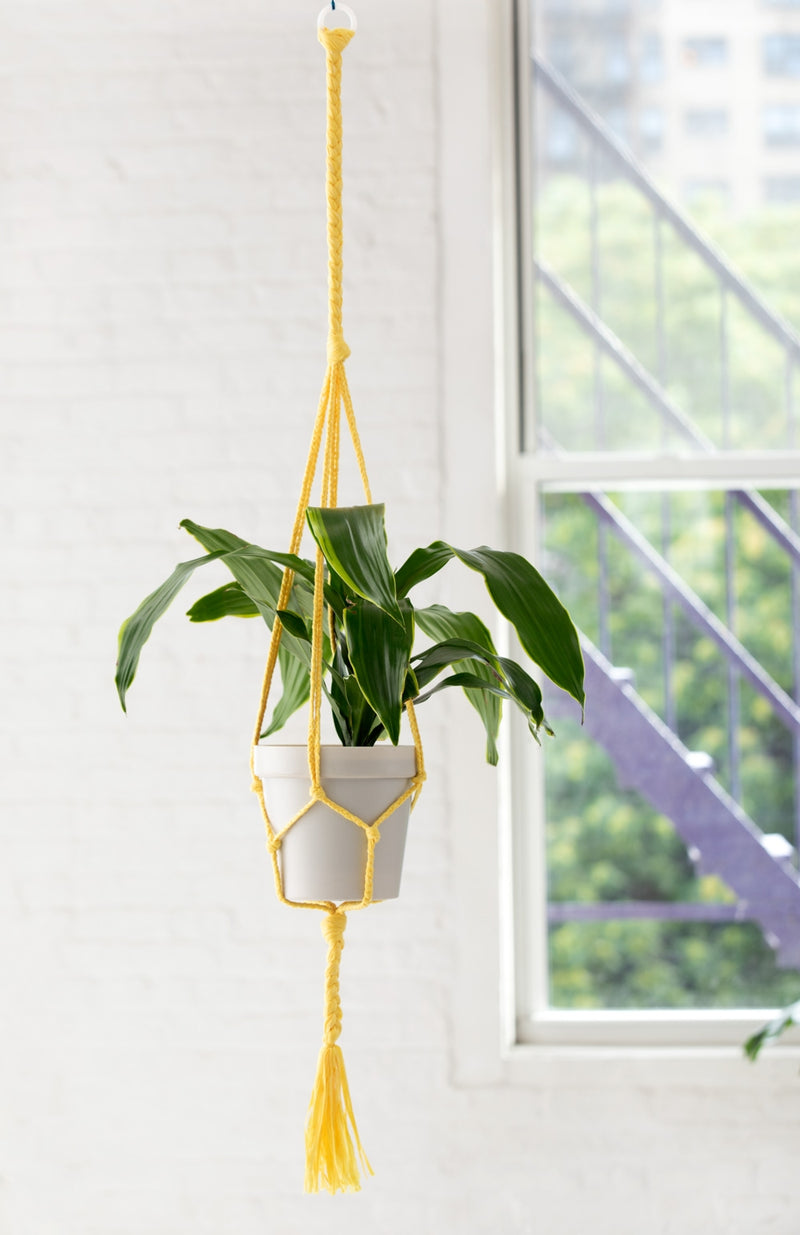 Simple Plant Hanger (Crafts)