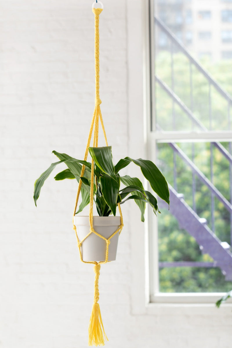 plant hanger yarn Simple Plant Hanger (Crafts) – Lion Brand Yarn
