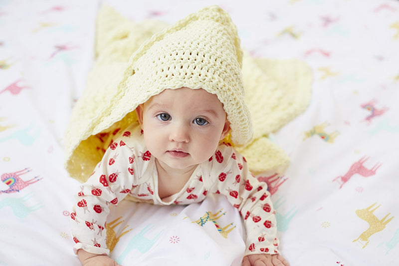Broomfield Hooded Baby Blanket (Crochet)