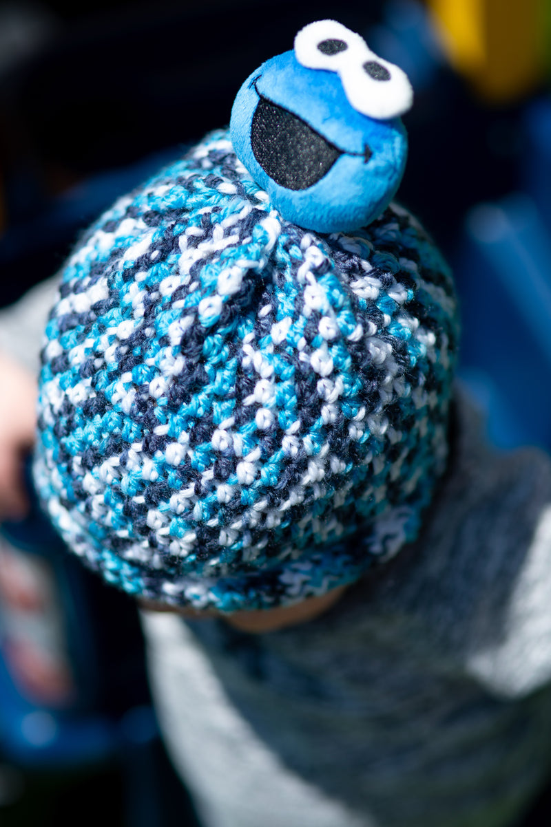 Crochet Cookie Monster Hat