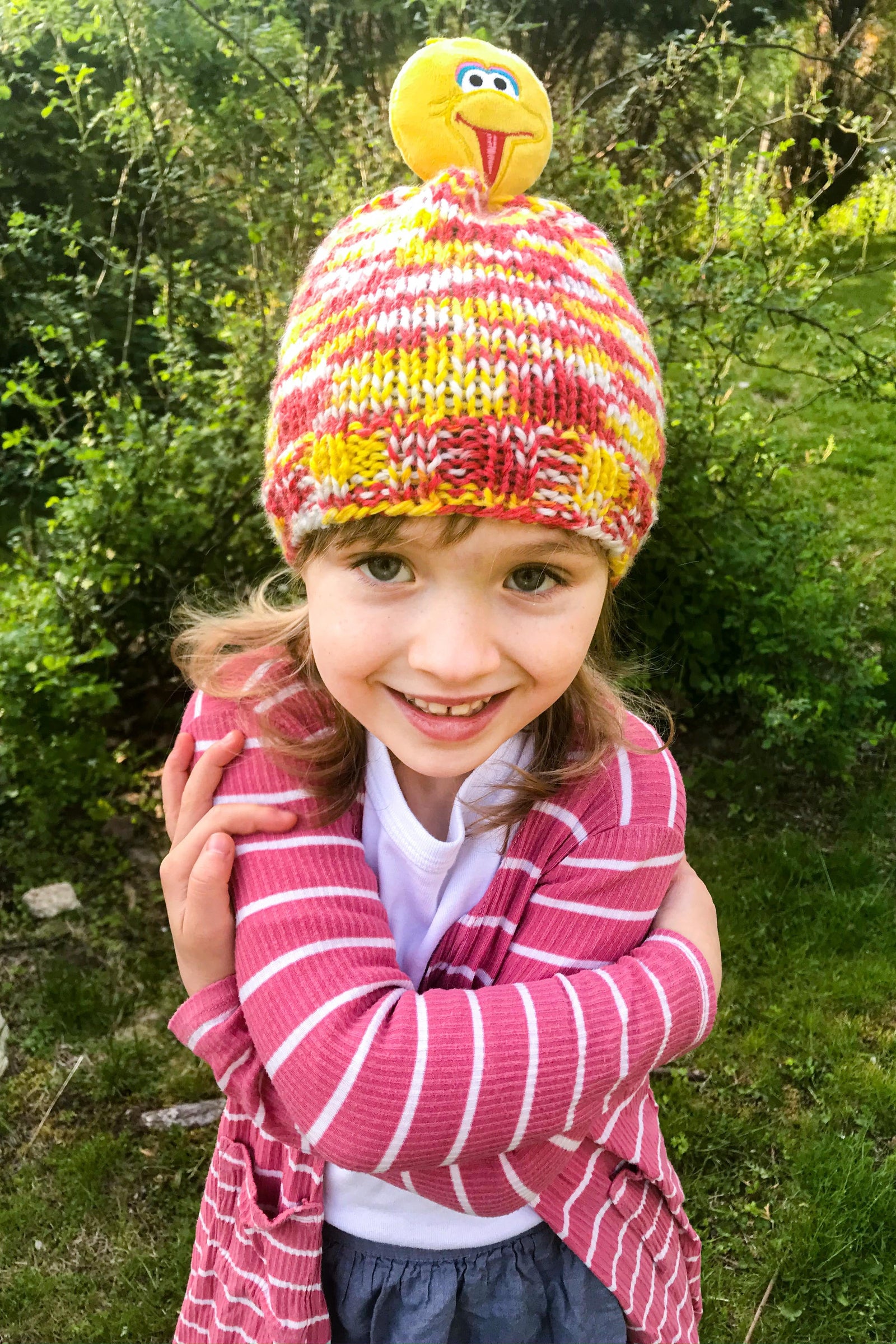 Big Bird Knit Hat – Lion Brand Yarn