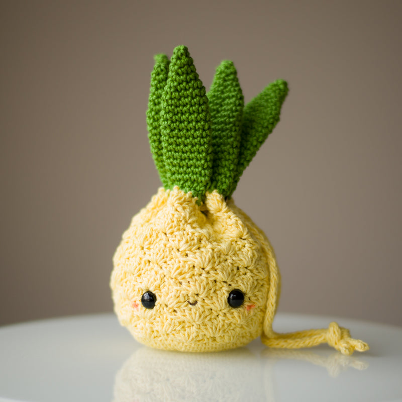 Crochet Kit - Pineapple Purse