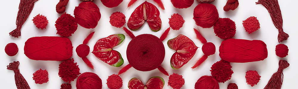 Anthurium banner