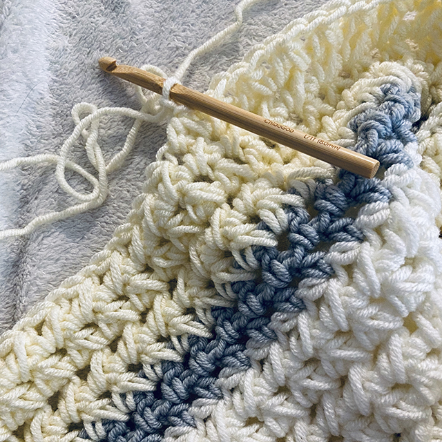 Paired Half Doubles Blanket