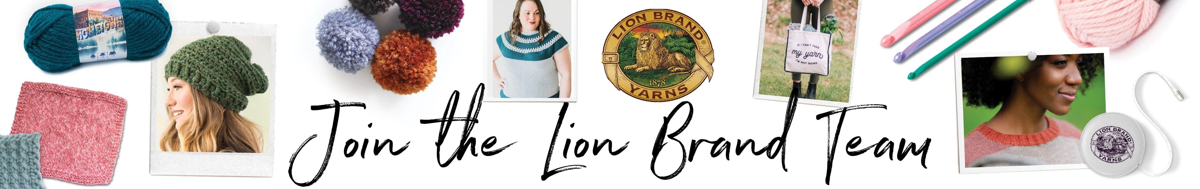 Lion Brand Careers Banner