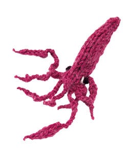 Knit Sea Creature: Giant Squid