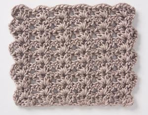 Crochet Stitch: Shell Pattern 2